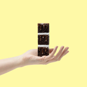 Fudgy Chocolate