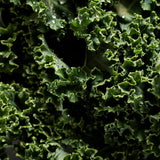 Ingredient
