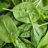 Ingredient